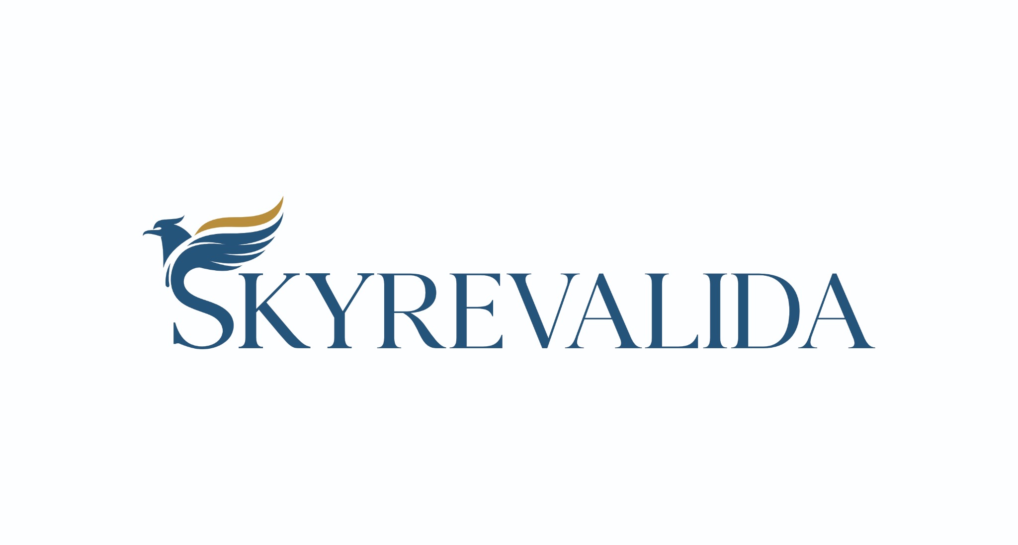 Logo SkyRevalida